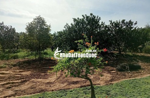 Chưa đến 1ty sở hữu ngay đất tt Bàu Bàng, giá niêm yết, pháp lý minh bạch